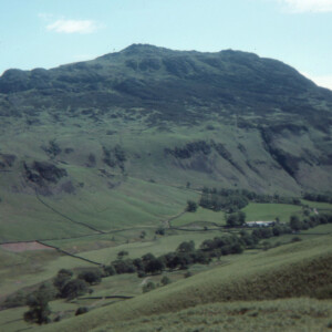 1977