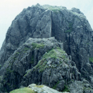 1979