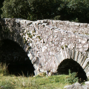 1981