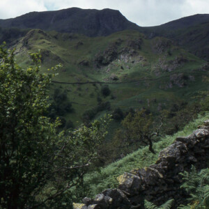 1982