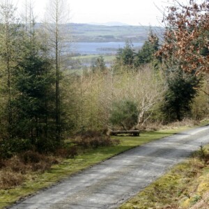 ...and a glimpse of Bassenthwaite
