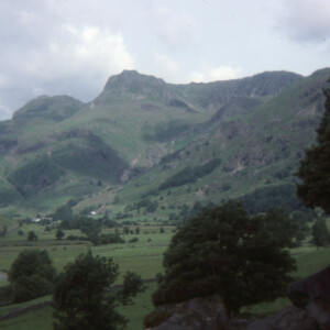 1977