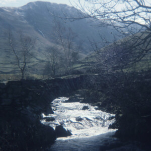 1977
