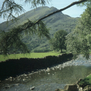 1978