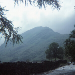 1977