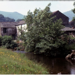 1979