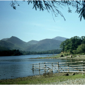 1978