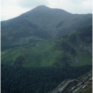 1977