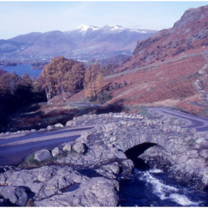 1986