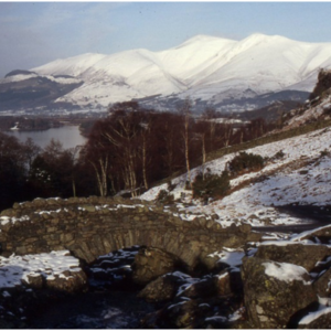 1993