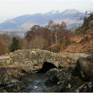 2013